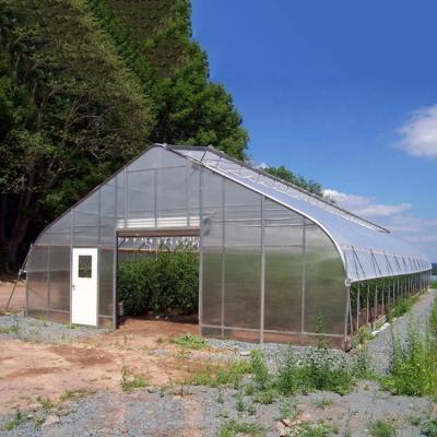 China Easily Assembled 8m Span Frame In 25 Diameter Pipe Main Plastic Film Greenhouse for sale