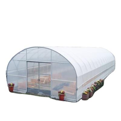 China PE Plastic Single Span Tunnel Greenhouse For Sale Agricultural Equipment Greenhouse for sale