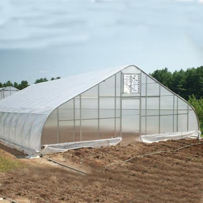 China PE Booster Hot Sale Tunnel Plastic Agricultural Greenhouse for sale