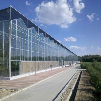 China To undertake the installation high quality multi span agricultural glass greenhouse for sale