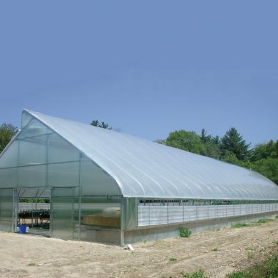 China Stable Booster Structure Plastic Sheet Single Tarpaulin Tunnel Agricultural Greenhouse for sale