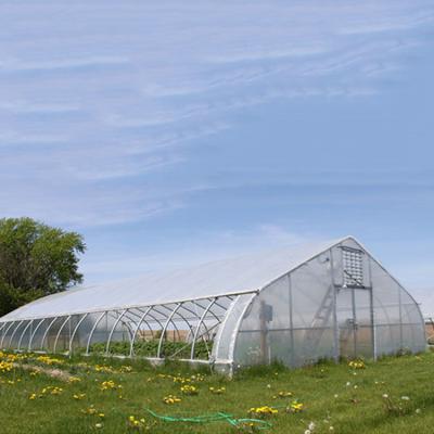 China Agriculture Planting Propeller Good Quality Greenhouse Film Construction For Sale for sale