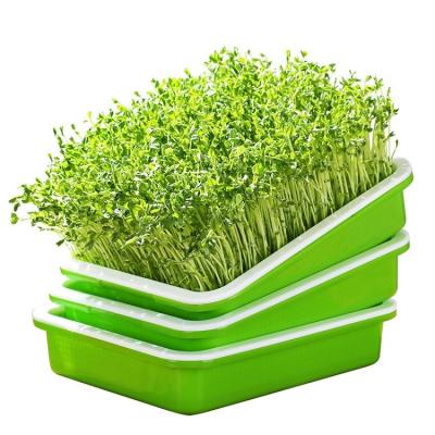 China CLASSIC Hydroponic Growing Seeding Tray Microgreen Vegetable Seeding Tray for sale