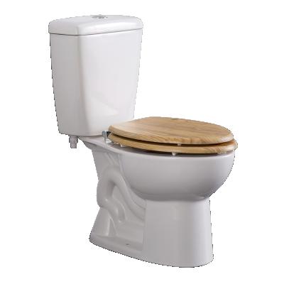 China Bathroom Small Toilet Double-Flow Factory Price Toilet Siphon Jet Flushing And New Design for sale