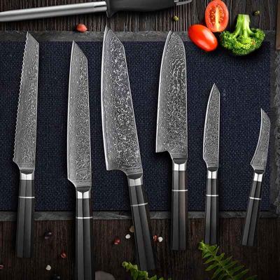 China Viable Custom Logo Multifunctional Home Carving Restarent German Damascus Stainless Steel High End Kitchen Tools Knife 10 Pcs Set for sale