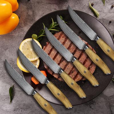 China Professional Wholesale Viable Good Quality All Kinds Of Japanese Olive Wood Handle Damascus Steel Steak Knife Set Of 5 Piece Knives Set for sale