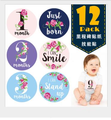 China Europe wholesale baby monthly stickers/floral baby milestone stickers/newborn girl stickers for sale