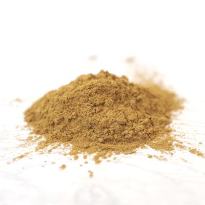 China Dry Cinnamon Powder - 