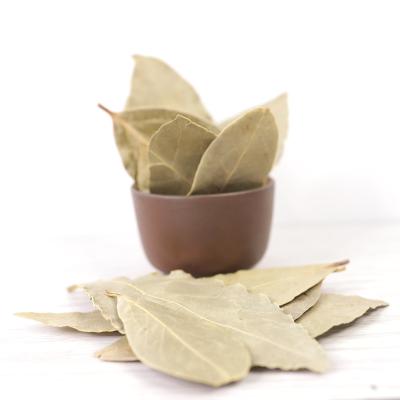 China Dried bay leaf - dried whole bay leaves for sale