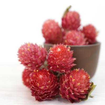 China Dried globe amaranth flower - Makhmali, vadamalli 