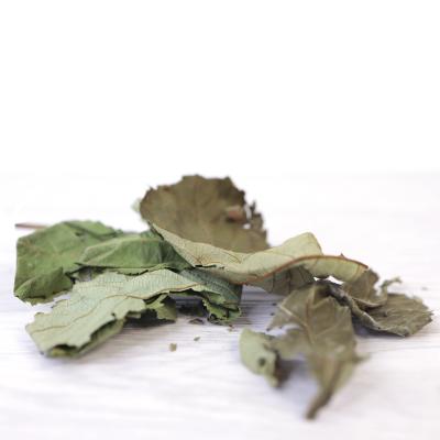 China Blackberry dry leaf - dried blackberry leaves for tea or sweetner for sale