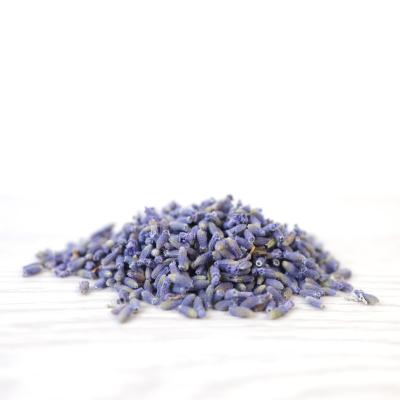 China Wholesale Lavender Dried - Dried lavender buds for tea for sale