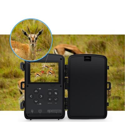 China Recording Function Trail Game Camera 20MP 1080P Waterproof Hunting Surveillance Cam For Wildlife Surveillance for sale