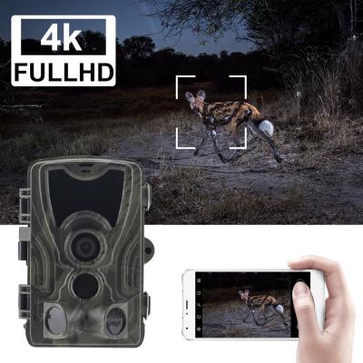 China Outdoor WIFI Trail Camera APP Live Show Hunting Cameras 30MP 4K Wildlife WiFi801Pro Night Vision Surveillance for sale