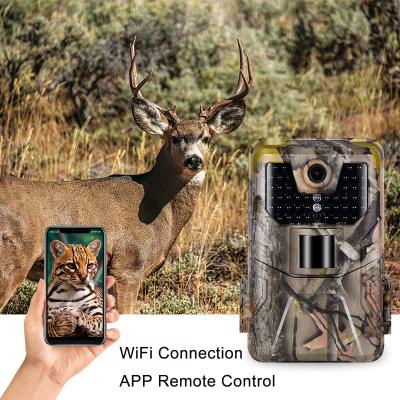 China WiFi APP Control Blue-tooth Trail Camera 36MP 2.7K Live Show Hunting WiFi900Plus Camera Night Vision Wildlife Cam Surveillance for sale