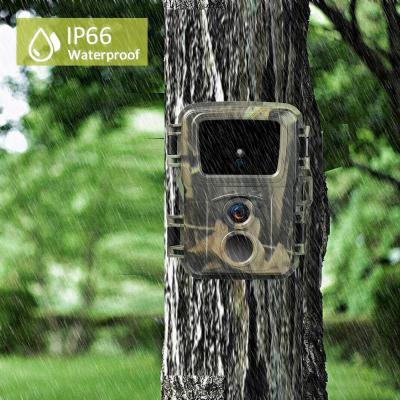 China Mini Mini Trail Hunting Camera 20MP 1080P Photo Trap MiNi600 Wildlife Waterproof Forest Animal Cameras iP65 Wildlife Track for sale