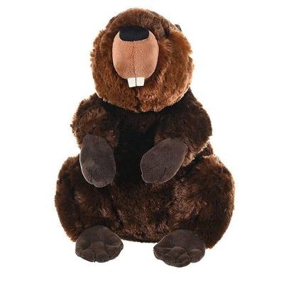 China Promotion CE Amazon Standard Hot Sale 30cm Sea Animal Toy Cute Plush Beaver For Soft Stuffed Children for sale