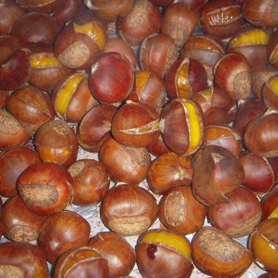 China 2021 IQF Low Fat Organic Ringent Roasted Chestnut for sale