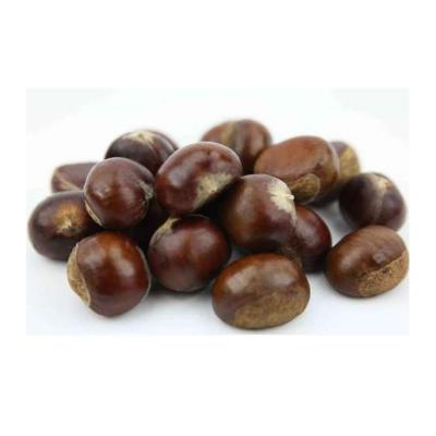 China China Low Fat Hot Sale Yanshan Sweet Fresh Chestnut for sale