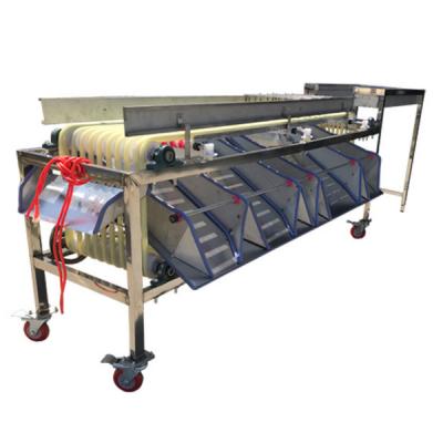 China Production Track Type Fruit Snacks Factory Stainless Steel Sorting Machine for sale