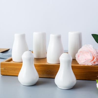 China Viable Hot-selling Hot-selling Porous Nordic Style Porcelain Seasoning Bottle Pepper Shaker Restaurant Hotel Ceramic Salt Shaker for sale