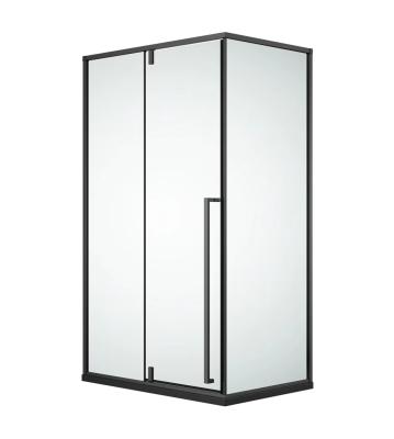 China One Fixed Gray Minimalist Swing Door Stainless Steel Frame Pivot Shower And Two Panels 900X1200mm, Shower Box, Shower Room for sale