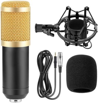 China Lightweight Handheld Microphone Noise Reduction Bundle Cards for Web Karaoke Live Recording Studio Recording, Singing and Broadcasting M061 for sale