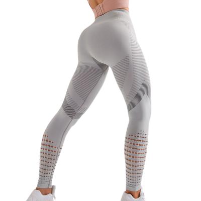 China Stretch Seamless Ladies All Season Super Comfortable Quick Dry Seamless Jogging Gym Sweat Fitness Leggings for sale