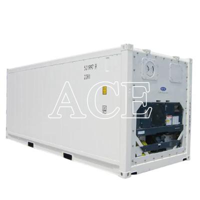 China 20ft Reefer Contenedor Carrier Refrigerador Congelador o congelado de doble propósito con dimensiones internas en venta