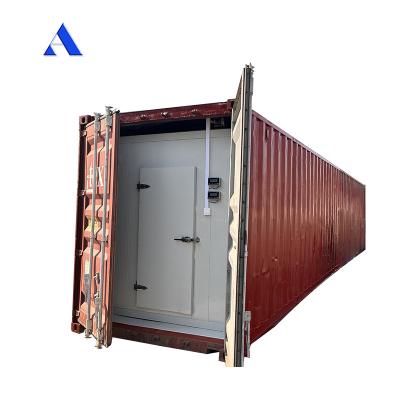 China R134a/R404A Refrigerant 12m Length 60 cbm 40ft Refrigerated Reefer Container Cold Room Storage Durable Aluminum T-Bar Floor for sale