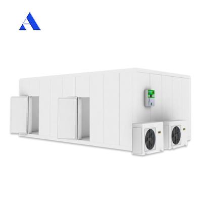 China Aço inoxidável parede interna 40ft x 20ft Dual temperatura Chiller e congelador Container Sala de frio para armazenamento Reefer Container à venda