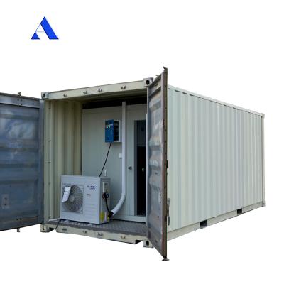 China 20ft Reefer Container Cold Storage Room with Aluminum T-Bar Floor and R134a/R404A Refrigerant for sale