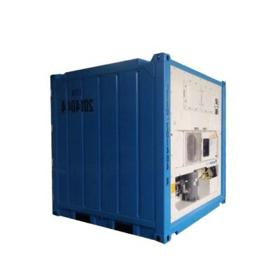 China 8ft Mini Shipping Container DNV 2.7-1 Standard for Fresh and Frozen Offshore Reefer Storage HGSS Inner Material Included for sale