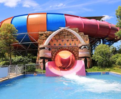 China Used Outdoor Or Indoor Water Park Daxin Experience Good Water Slides For Adults Commercial Water Slides Price for sale