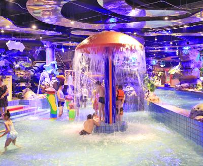 China DAXIN Water Park Outdoor Or Indoor Good Insulation Most Popular Resort Indoor Water Park for sale