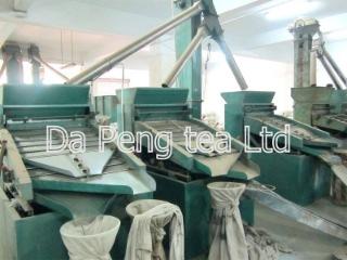 Verified China supplier - Shengzhou Dapeng Tea Co., Ltd.