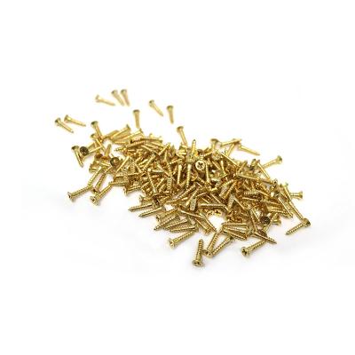 China Hot Sale Wood Pan Screw Blister Packing Phillips Flat Head Cheap Price Brass Screw Nail for sale