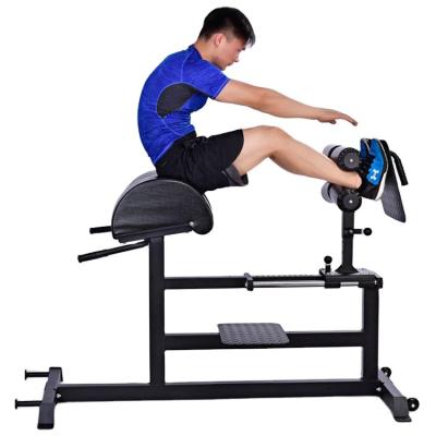 China New Design Indoor Home Used Power Stand Drop Curve Sissy Squat Bench For Sale for sale