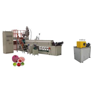 China Plastic Net Making Machine Fully Automatic EPE Foam LDPE Customized 17-22KG/H AC Motor Single-screw 50kw for sale