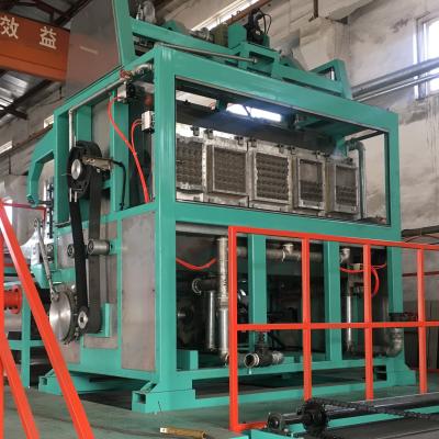 China automatic  cheap and fine egg tray making machine for sale