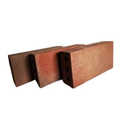 China Non-slip And Antifreeze Plastic Machine Paving Bricks Brick Making Exterior Brick Wall for sale