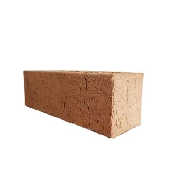 China Anti-Slip and Anti-Freeze Around Firebrick Bricks for Sale Jasmine Brick for sale