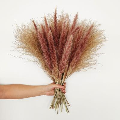 China MHJ257 Amazon Flower Bouquet Small Realistic Hot Sale Dried Pampas Grass Bouquet Decor for sale