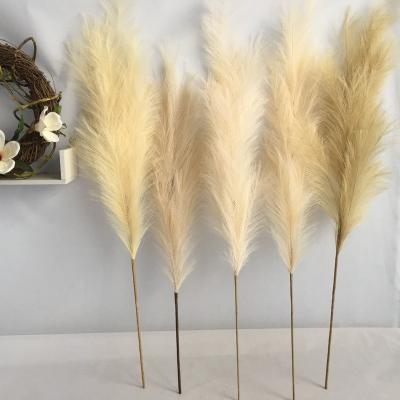 China MHJ205 Amazon Realistic Fake Pampas Grass Artificial Flower Dry Black Gray Beige Large Pampas Fluffy for sale