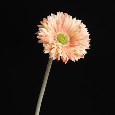 China MHJ153 Realistic Chrysanthemum Realistic Arreglos Semillas Silk Single Gerberas Flower Gold Black Daisy Artificial Flowers for sale