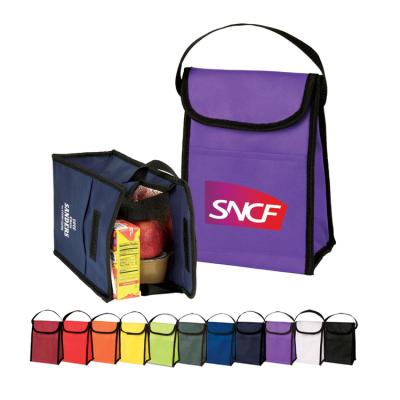 China Promotional Custom Logo Print Insulated Nonwoven Insulated Lunch Cooler Bag for sale