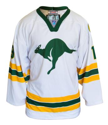 China Shirts & Tops Cheap High Quality Custom Youth Ice Hockey Jersey / Hockey Wear for sale