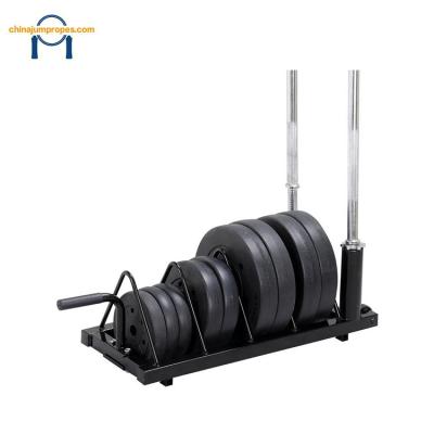 China Powder Coated Steel Economic Custom Design Wholesale Commercial Grade Gym Fitness Equipment Rigs and Racks for sale