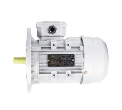 China Totally Enclosed Series Y3 2/4/6/8 Pole 5.5 Kw Three Phase Inductional Electric Motor for sale