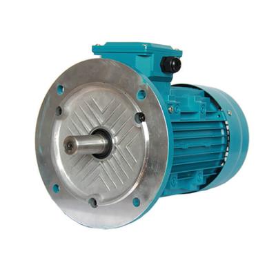 China 220/380V 230/440V 380/660V 400/690V High Efficiency Totally Enclosed Three Phase Electric Motor for sale